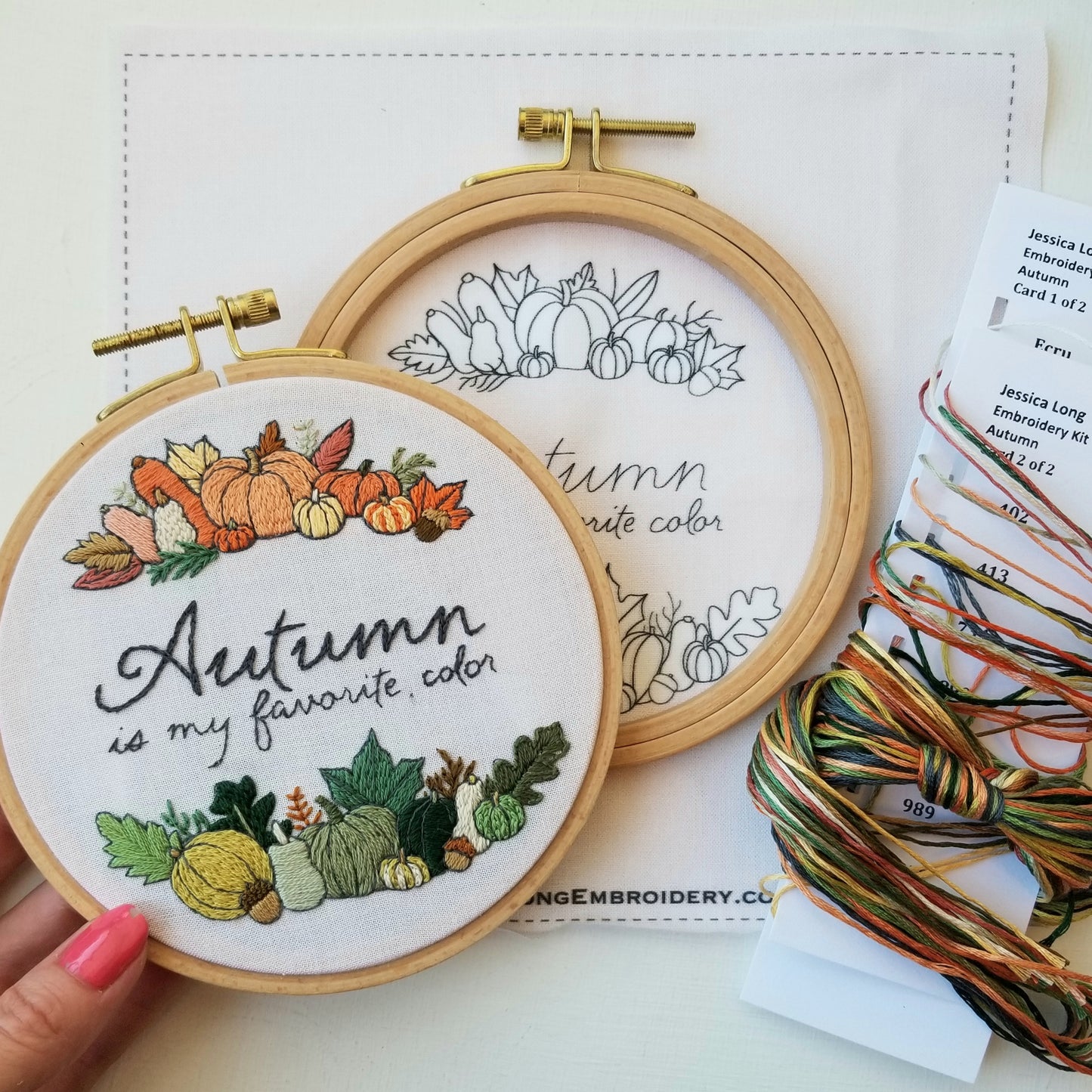 Autumn Colors Beginner Embroidery Kit | Jessica Long Embroidery