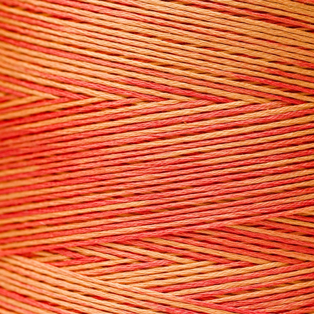 Autumn Leaves 2234 | Weeks Dye Works - Hand-Dyed Embroidery Floss
