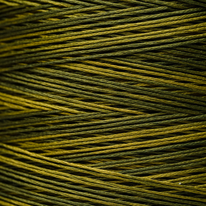 Bullfrog 2202 | Weeks Dye Works - Hand-Dyed Embroidery Floss