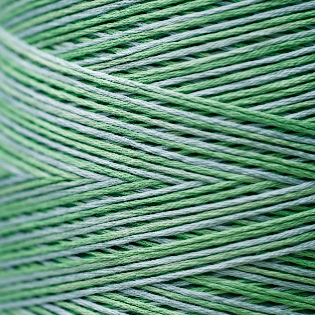 Cactus 2181 | Weeks Dye Works - Hand-Dyed Embroidery Floss