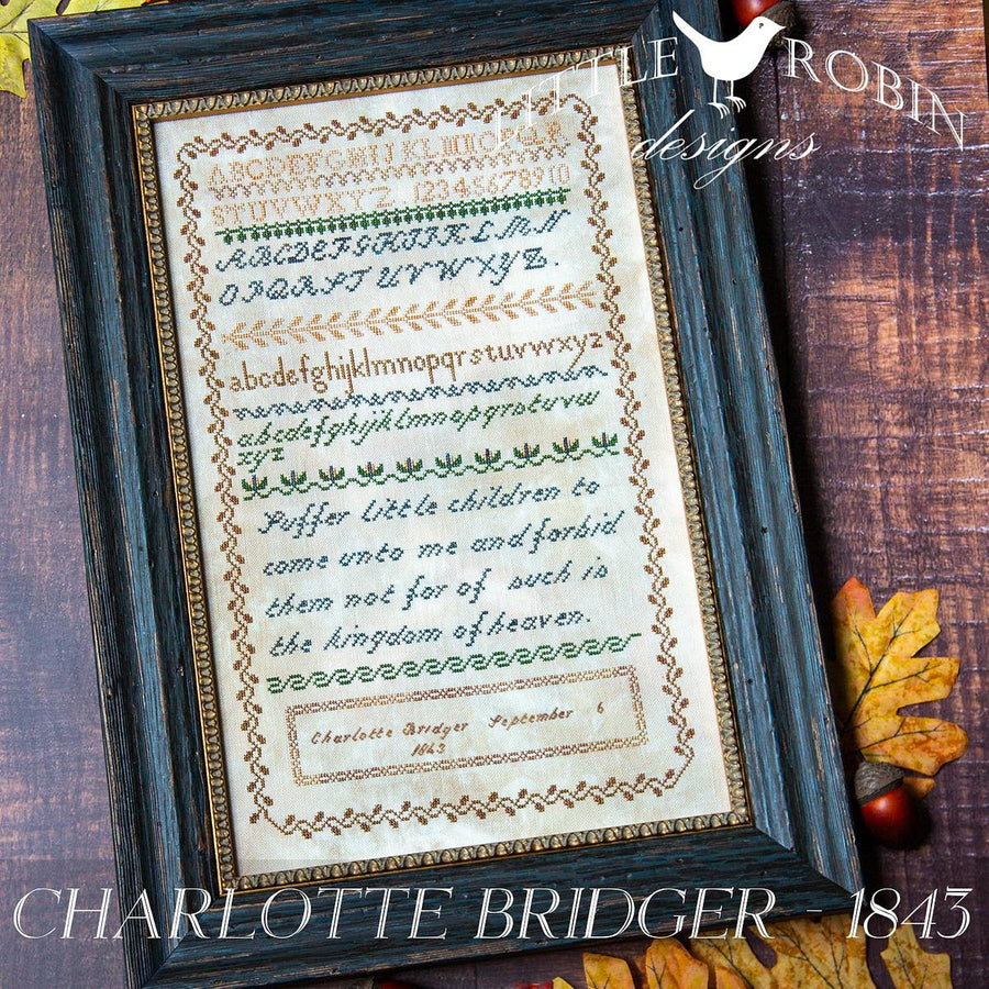 Framed cross-stitched sampler with decorative border and text, featuring 'The Robin Designs' logo.