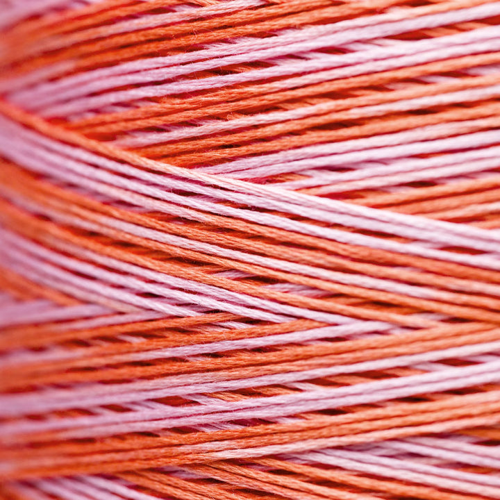 Flamingo 2247 | Weeks Dye Works - Hand-Dyed Embroidery Floss