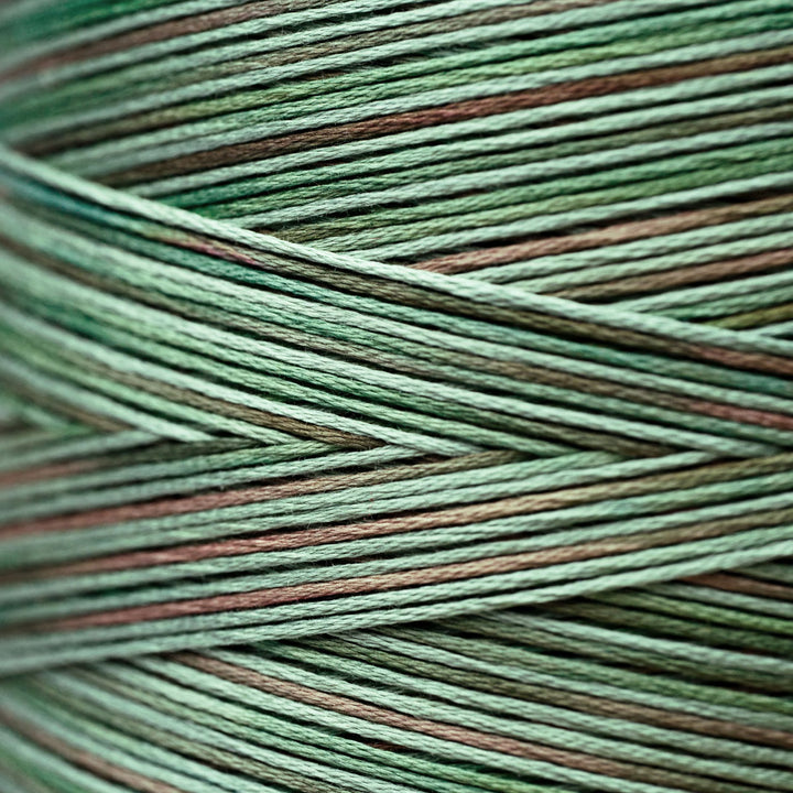 Foliage 4135 | Weeks Dye Works - Hand-Dyed Embroidery Floss