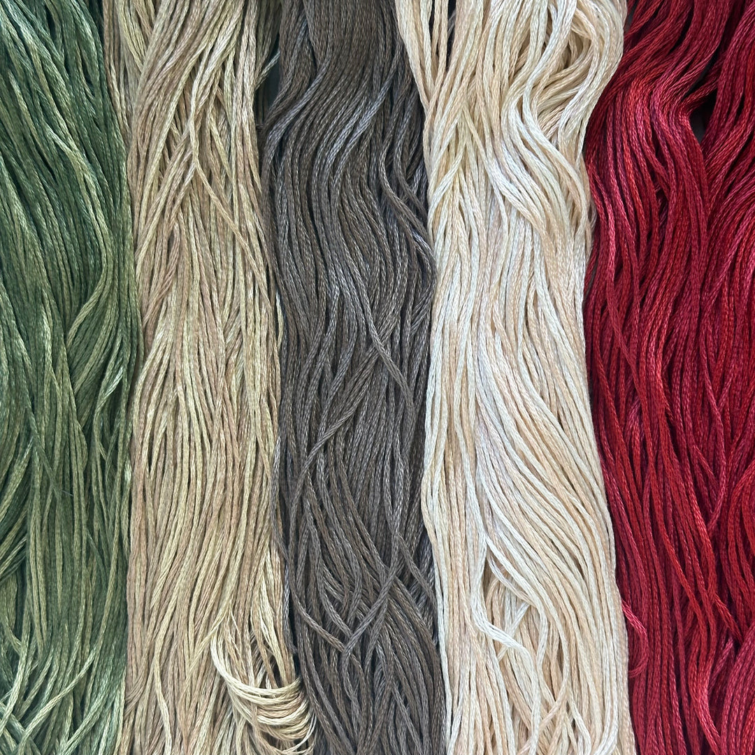 Weeks Dye Works Nashville 2024 New Colors - Set of 5 skeins | Weeks Dye Works (Nashville Market 2024)
