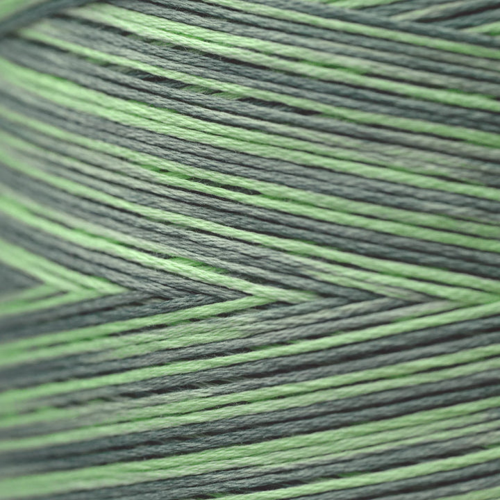Julep 2161 | Weeks Dye Works - Hand-Dyed Embroidery Floss