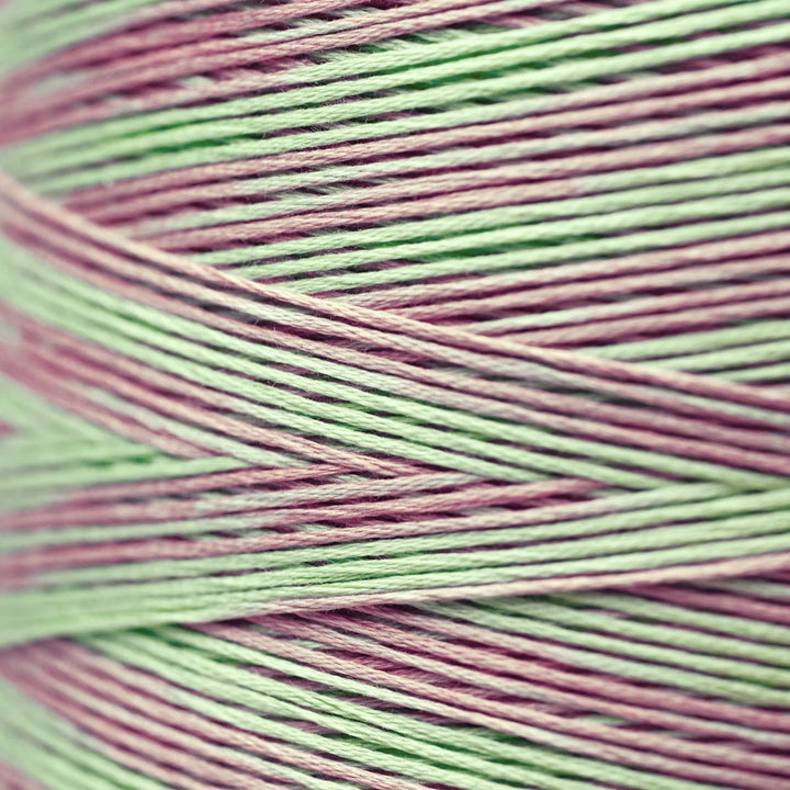 Madras 2126 | Weeks Dye Works - Hand-Dyed Embroidery Floss