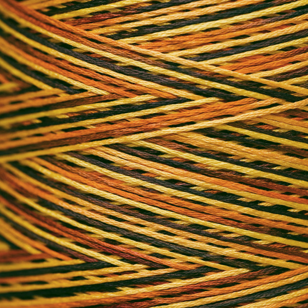 Close-up of variegated embroidery thread wound in a herringbone pattern, showing alternating stripes of orange, yellow, black, and brown.