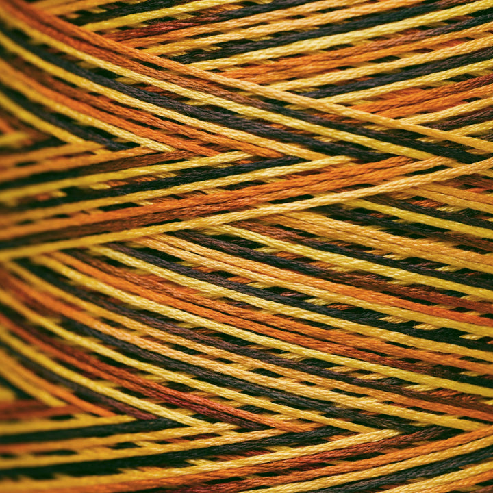 Close-up of variegated embroidery thread wound in a herringbone pattern, showing alternating stripes of orange, yellow, black, and brown.