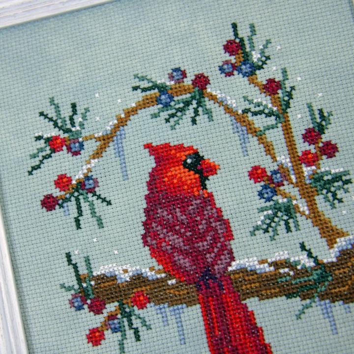 A close-up of a finished cross-stitch design featuring a red cardinal perched on a snowy branch with green pine needles and red and blue berries, framed in white wood.