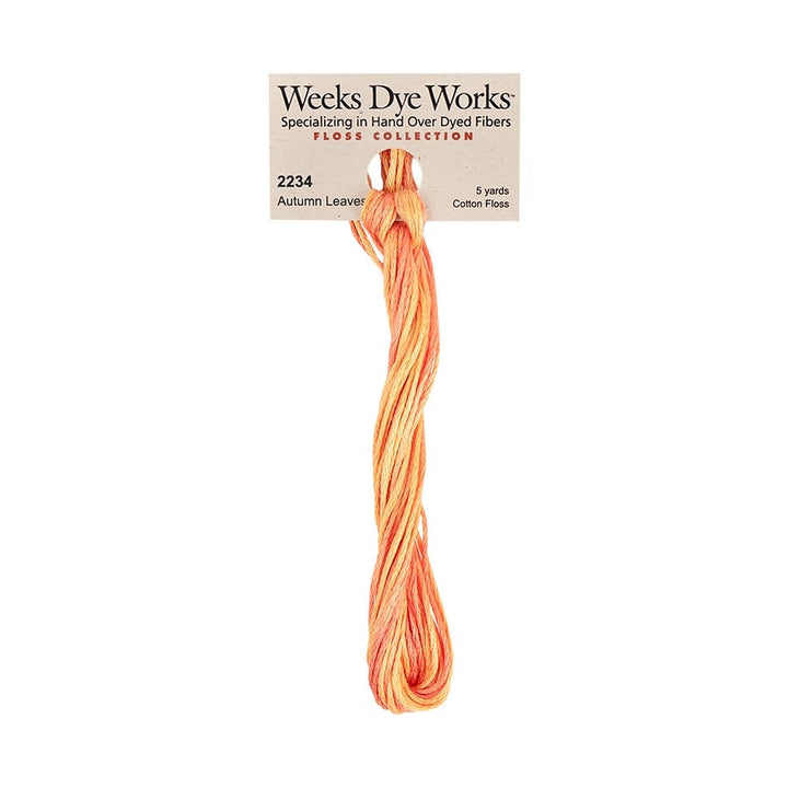 Weeks Dye Works hand-dyed cotton embroidery floss skein in Autumn Leaves 2234, a medium orange with light orange variegation