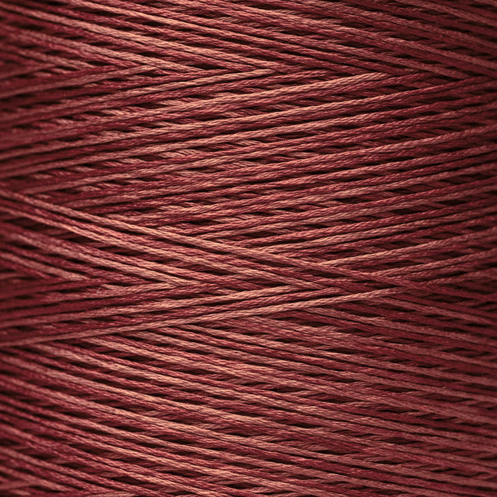 Baked Apple 1330 | Weeks Dye Works - Hand-Dyed Embroidery Floss
