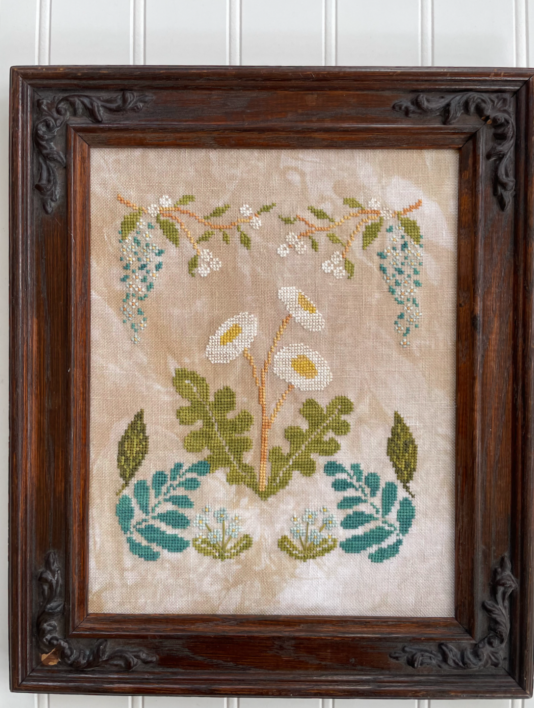 Botanical Study No. 1 | Petal Pusher