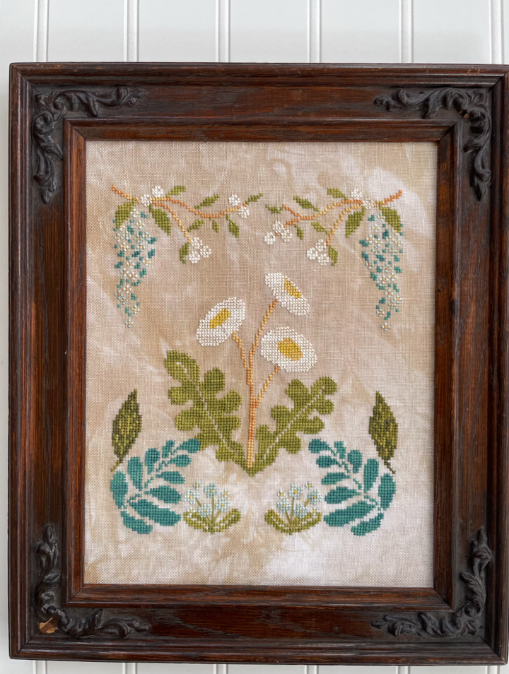 Botanical Study No. 1 | Petal Pusher