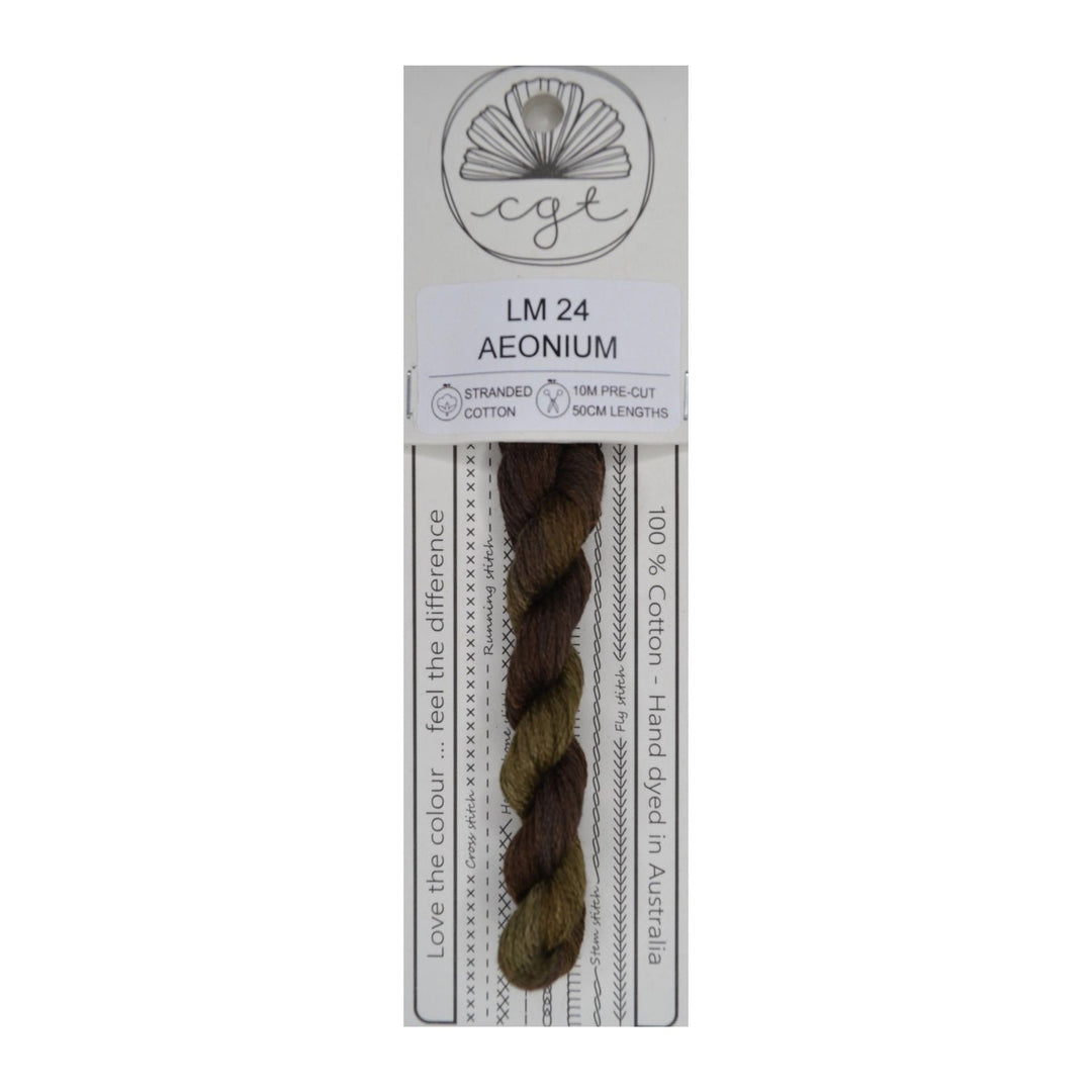 Aeonium | Cottage Garden Threads