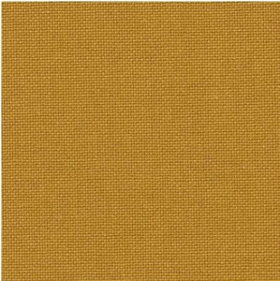 Solid mustard yellow color swatch