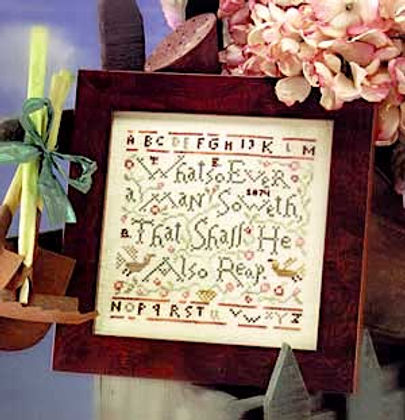 Framed cross-stitched sampler with decorative elements on a floral background