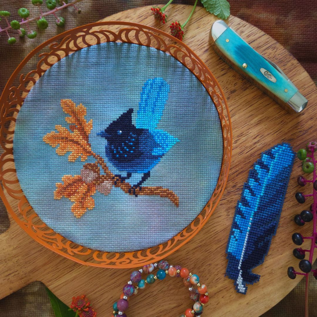 Pre-Order: Steller's Jay | BAD Stitch (begins shipping late August)