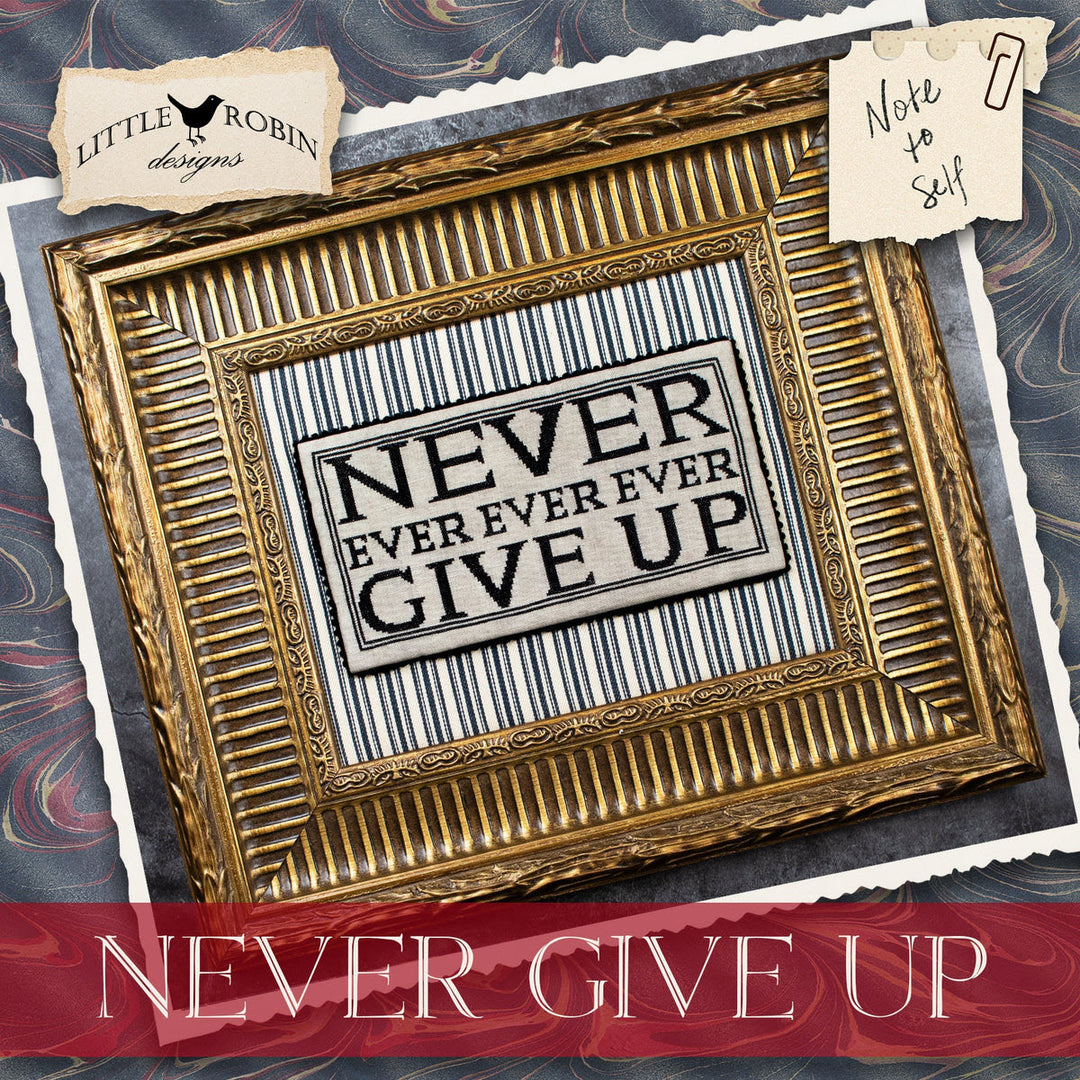 Pre-Order: Never Give Up | Little Robin (begins shipping late August)