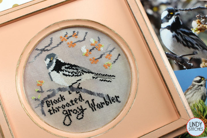 Black-Throated Gray Warbler - Bird Crush Club #4 | Lindy Stitches