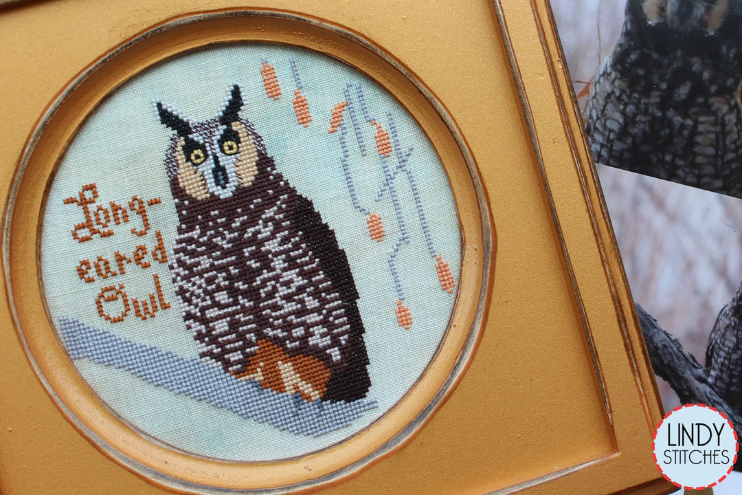 Long-Eared Owl - Bird Crush Club #10 | Lindy Stitches