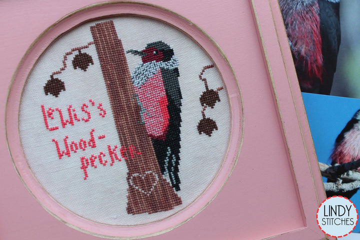 Lewis' Woodpecker - Bird Crush Club #8 | Lindy Stitches
