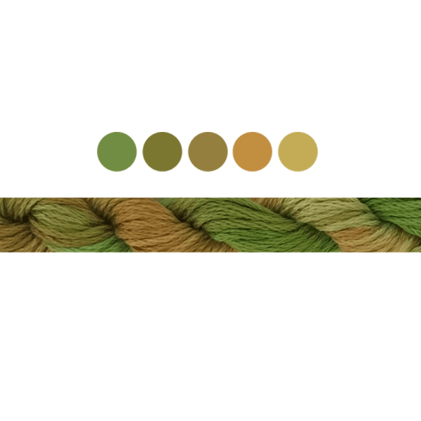 Golden Elm* | Cottage Garden Threads