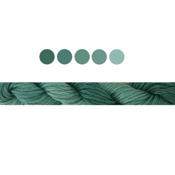 Dark Yew | Cottage Garden Threads