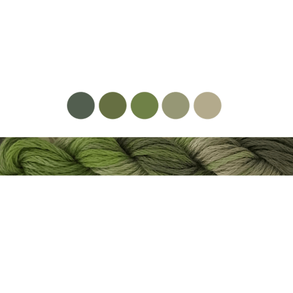 Ash | Cottage Garden Threads