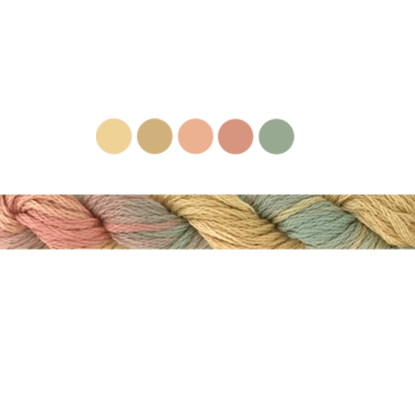 Apricot Ice | Cottage Garden Threads