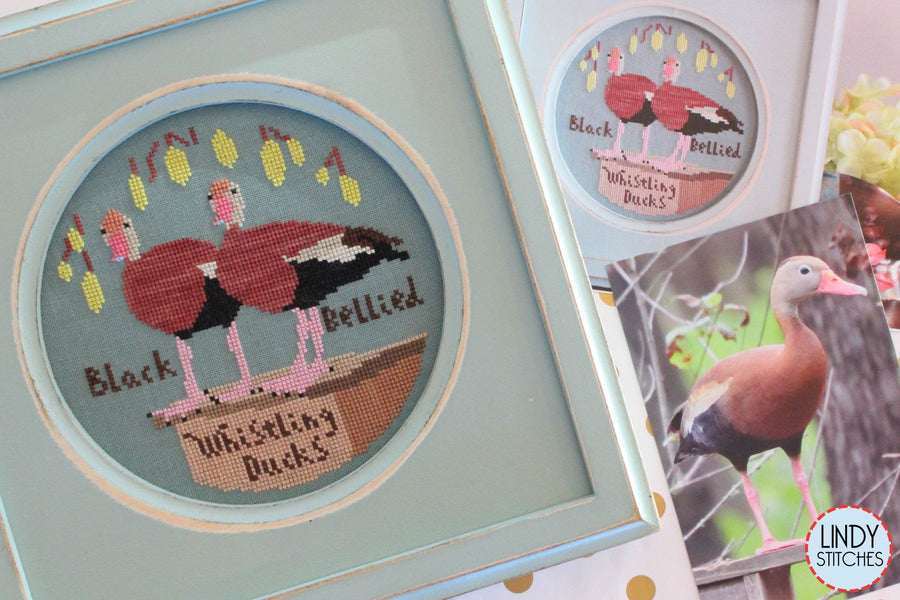 Framed cross-stitched design of black whistling ducks with a Lindy Stitches card in the background.