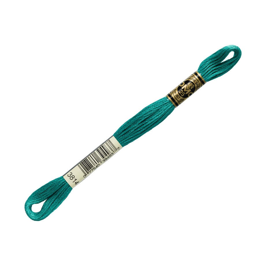 Turquoise embroidery floss with a label on a white background