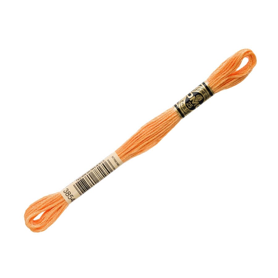 DMC 3854 Medium Autumn Gold | 6 Strand Embroidery Floss