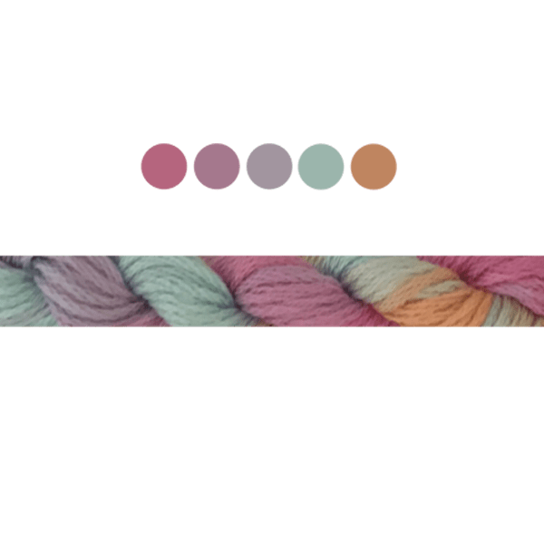 Gerbera | Cottage Garden Threads