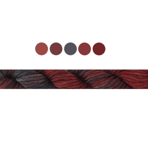 Waratah | Cottage Garden Threads