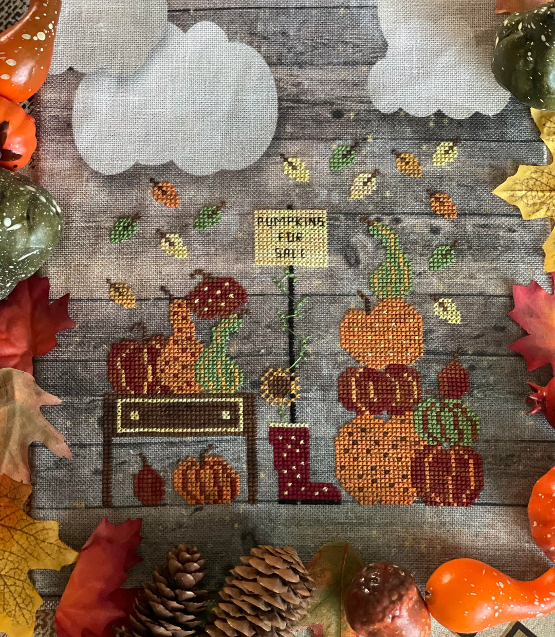 Pumpkins for Sale | Romy's Creations