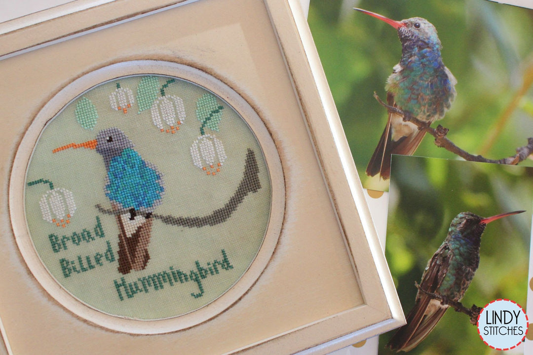 Broad-Billed Hummingbird - Bird Crush Club #3 | Lindy Stitches